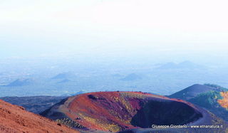 nti Silvestri08-11-2012 15-11-00
